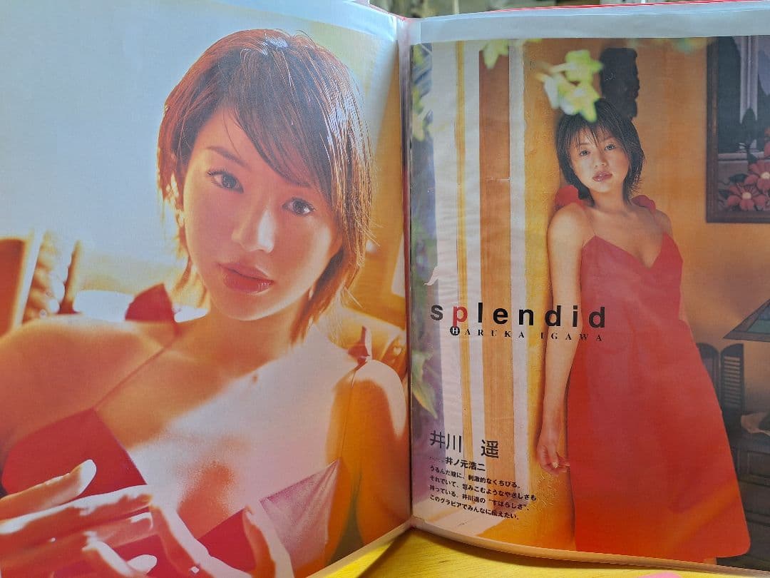 井川遥(1冊200円計算)42冊分167ページ切り抜きしファイリング済み