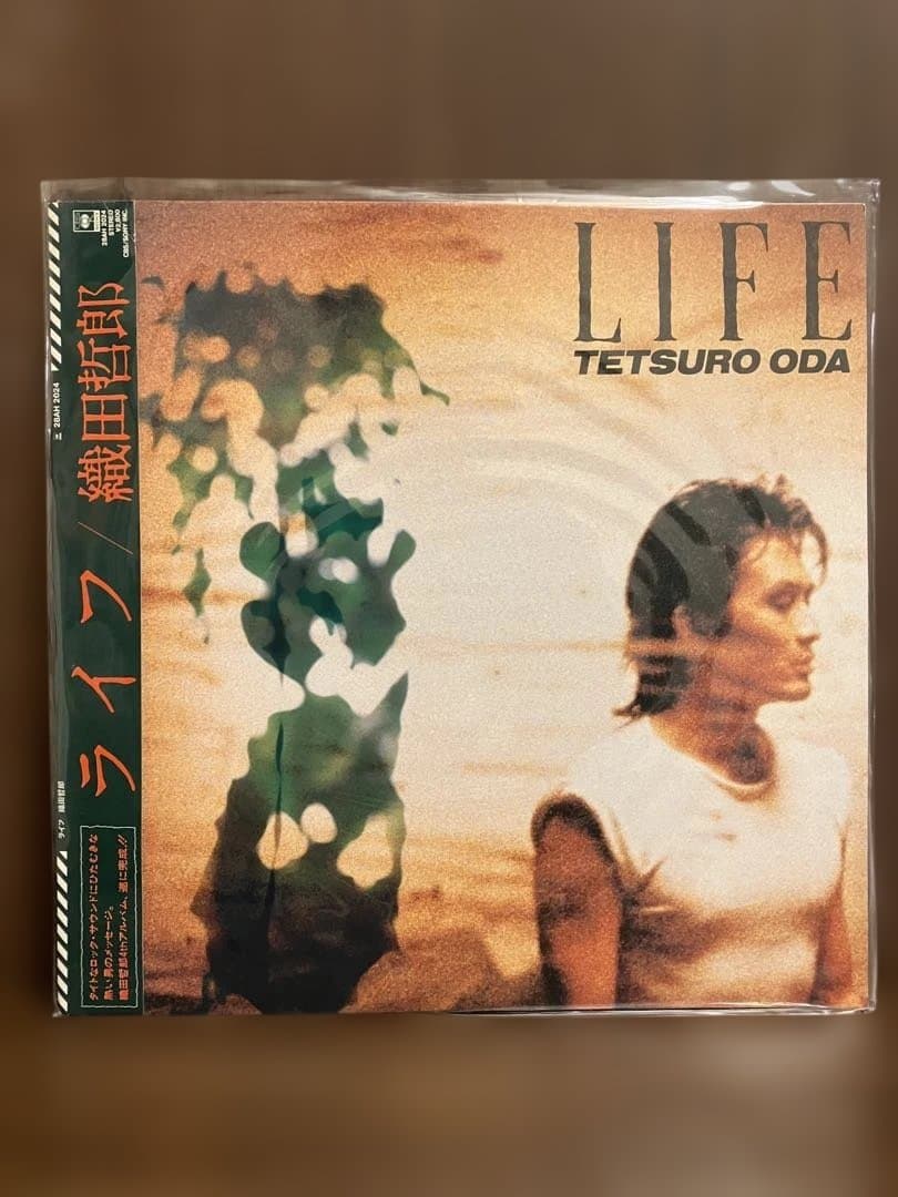 織田哲郎　アナログ盤　8枚セット　帯obi
