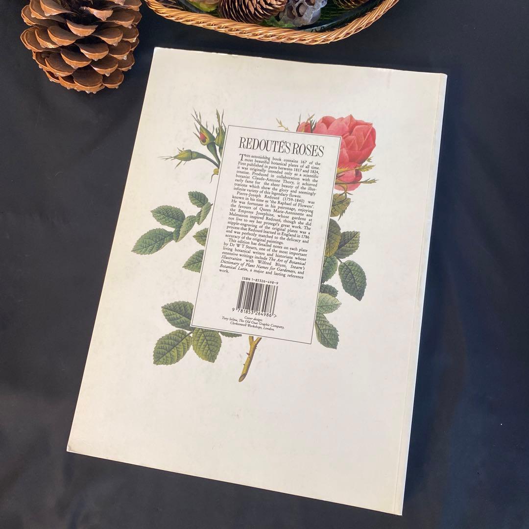 アート・デザイン・音楽 REDOUTE'S ROSES