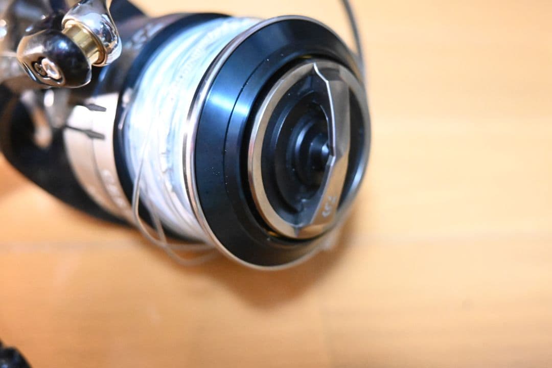 Daiwa Certate SW 18000-H はんどるかすたむ