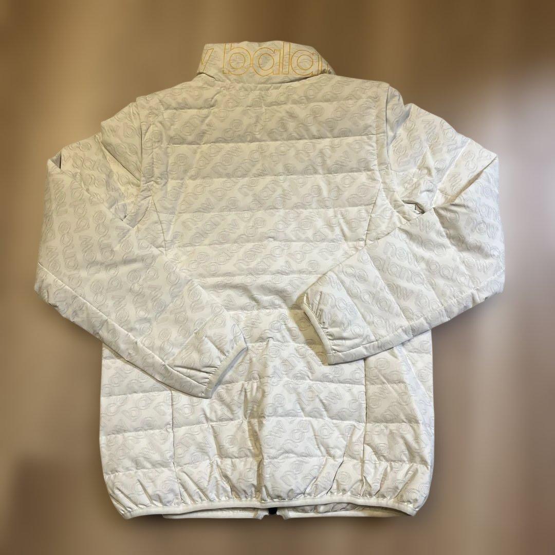 2年前に3万円ぐらいに買った物です。
