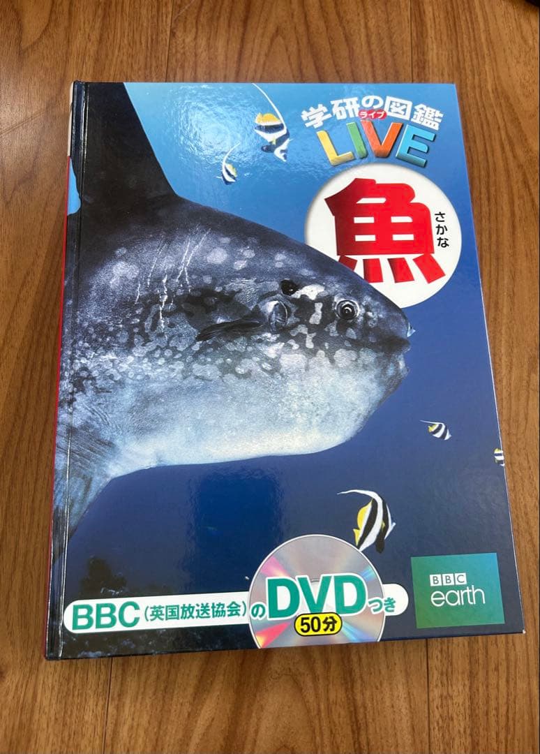 図鑑7冊セット 恐竜・両生類・魚など