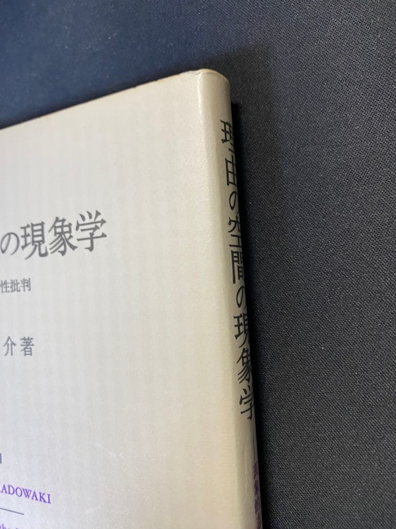 理由の空間の現象学 : 表象的志向性批判