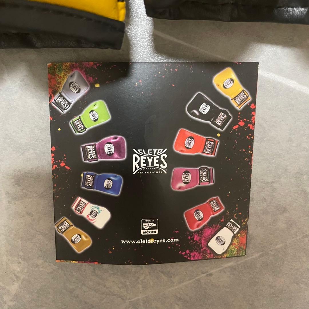 レイジェス(reyes) スパーリング用グローブ 14オンス