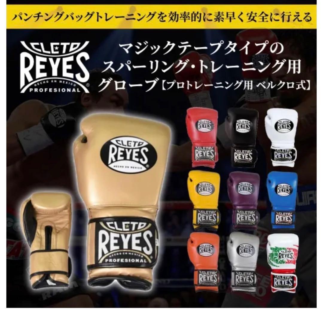 レイジェス(reyes) スパーリング用グローブ 14オンス