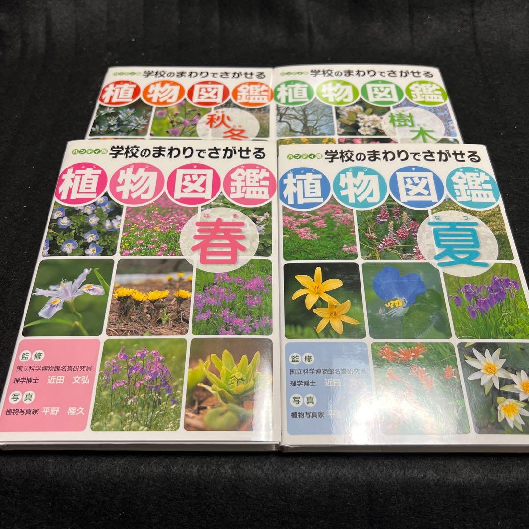 学校のまわりでさがせる植物図鑑 ハンディ版 春 夏 秋冬 樹木 全4冊セット