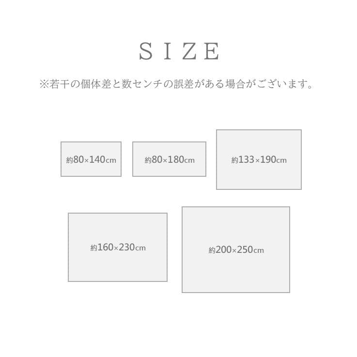 【トルコ絨毯】ウィルトンラグ 200x250cm アンタルヤ ブラック
