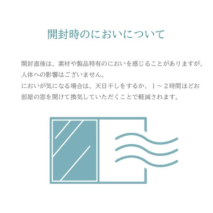 【トルコ絨毯】ウィルトンラグ 200x250cm アンタルヤ ブラック