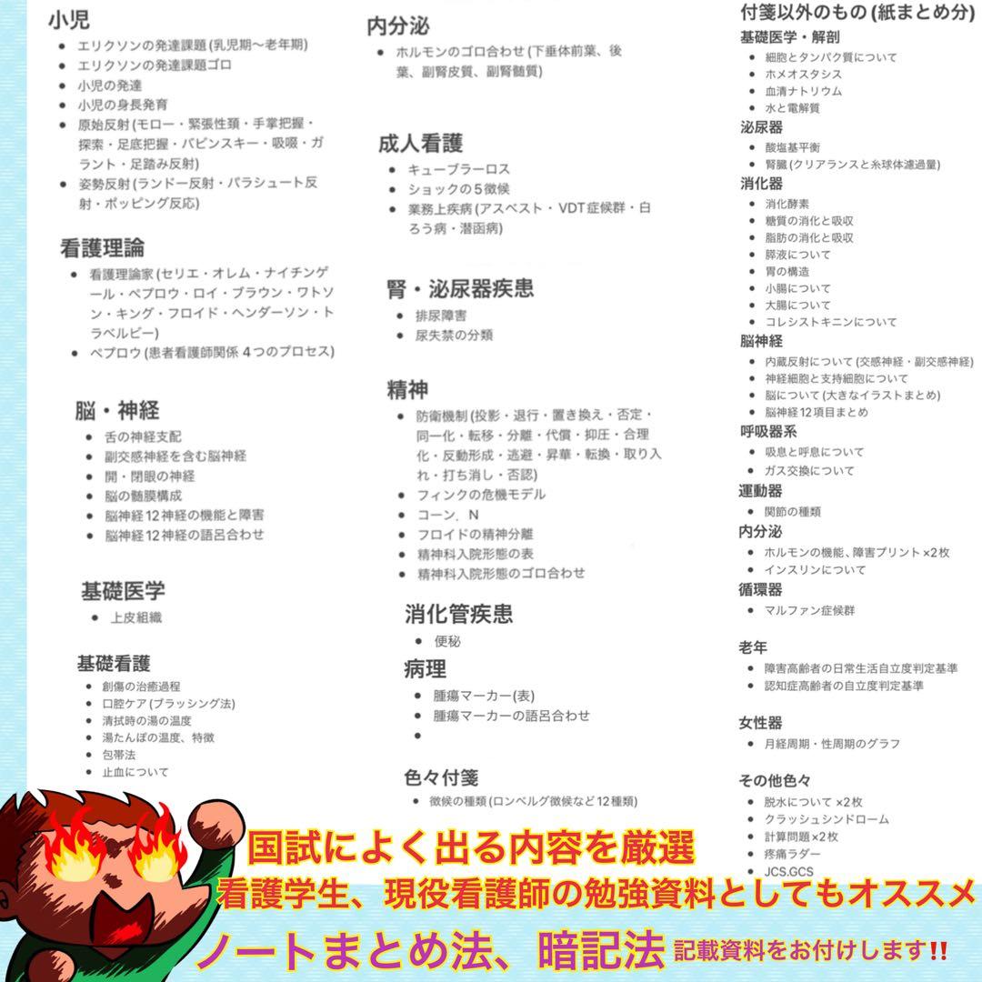 激安‼️ 看護師国家試験まとめノート 国試 付箋ノート 看護学生 解剖生理学