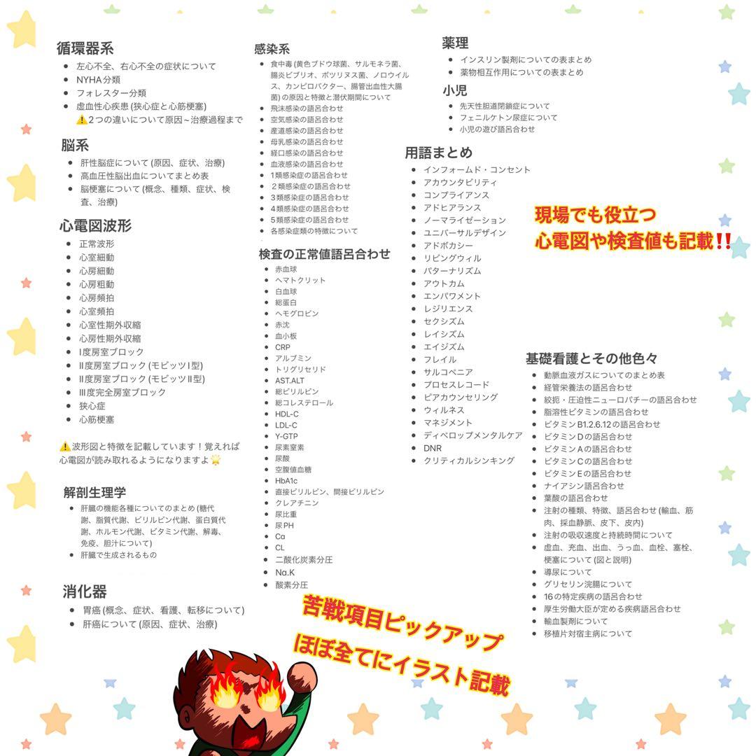 激安‼️ 看護師国家試験まとめノート 国試 付箋ノート 看護学生 解剖生理学