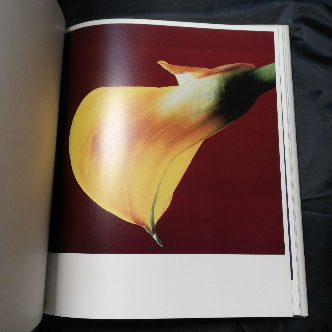 FLOWERS MAPPLETHORPE/ロバート·メイプルソープ　写真集　花