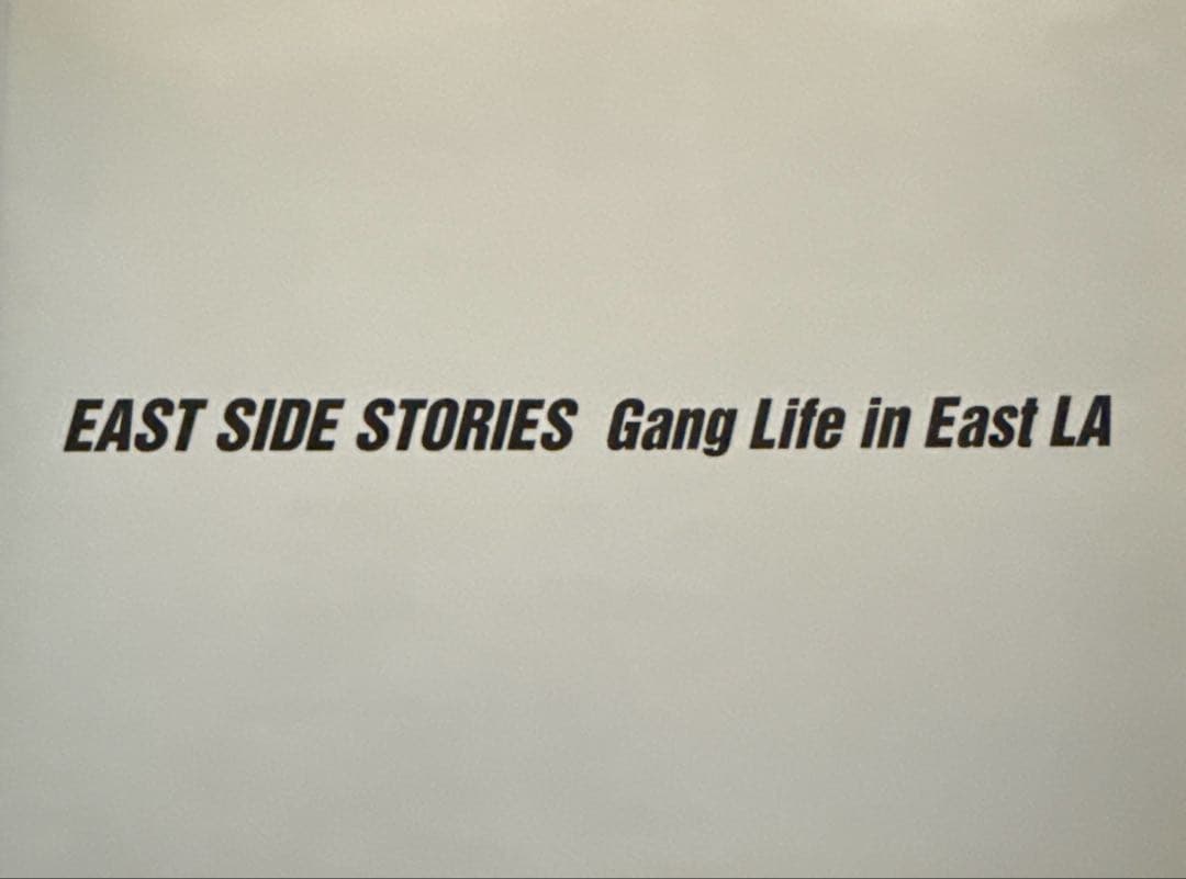 アート・デザイン・音楽 East Side Stories:Gang Life in East L.A.