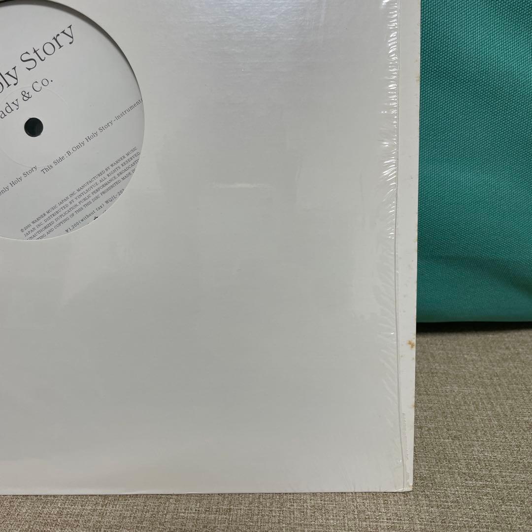 steady&co. Only Holy Story アナログ レコード