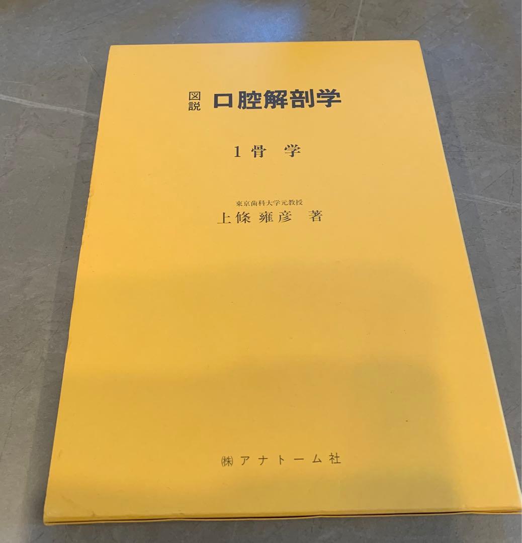 口腔解剖学 1 骨学