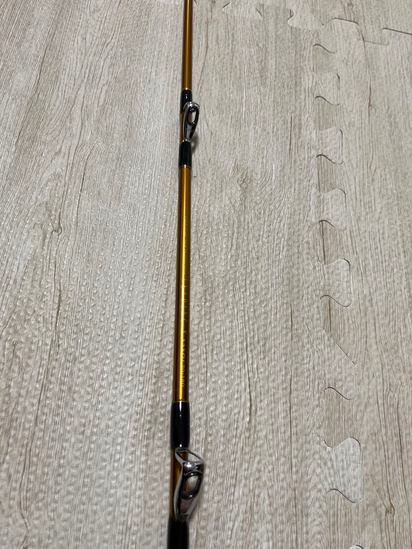 【Daiwa】LEADING-X SASOI 30-180 12/19限定