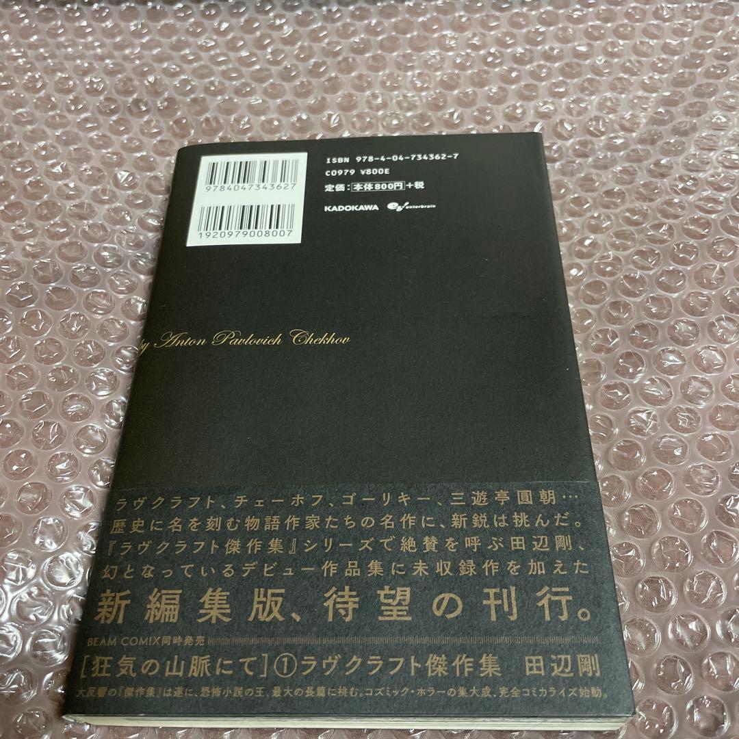 The Outsider　田辺剛 Extra Works 初版