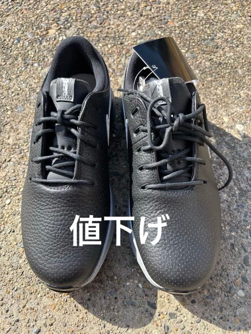 Nike ゴルフシューズ ブラック25