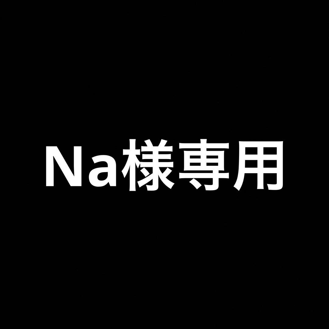 その他 Na