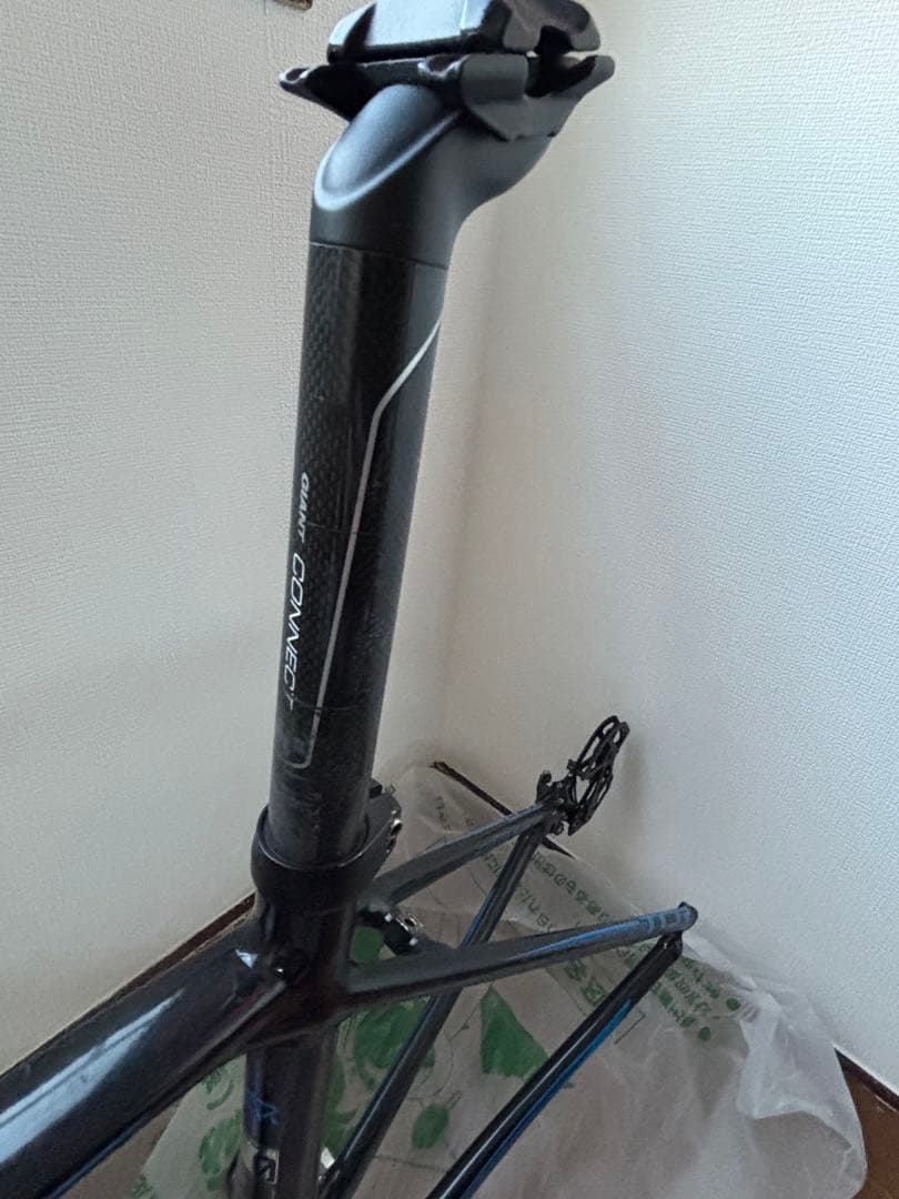 Giant TCR ロードバイクフォークカーボンフレームSサイズコンポ付属なし