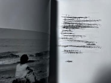 アート・デザイン・音楽 purple MARK BORTHWICK Social Document