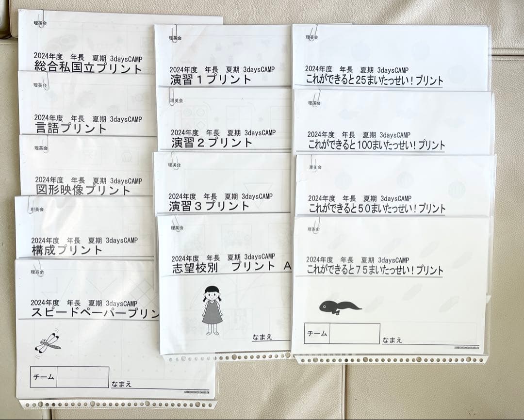 2024年　理英会　3daysCAMP 夏期講習　共学難関　フルセット