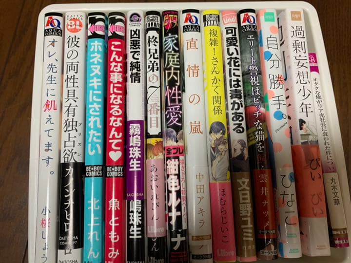 お値下げ可能！期間限定出品！BLコミック BL漫画 桜日梯子等