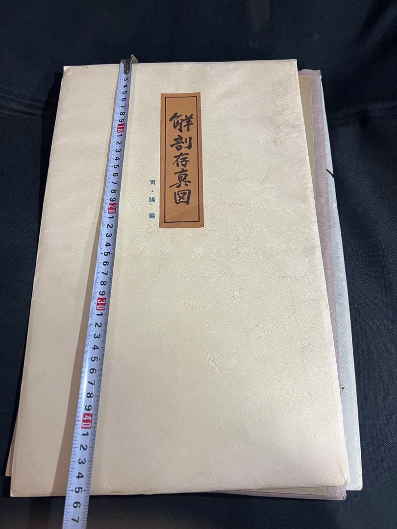『解剖存真図』「胃・腸編」「肺・心臓編」「脳・神経編」カラー複製 3点◆腑分け