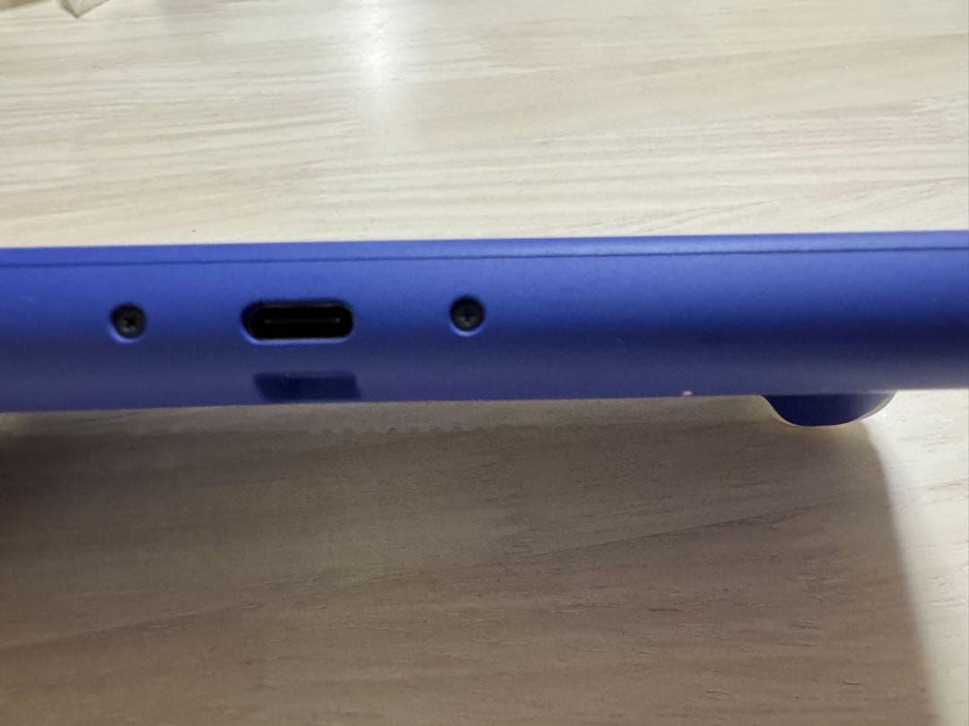 Nintendo Switch Lite 充電器付き