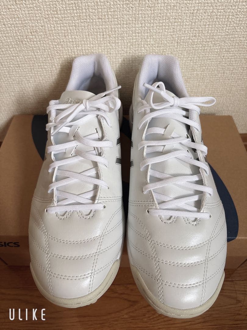 asics DS LIGHT トレーニングシューズ ホワイト/シルバー 合成皮革