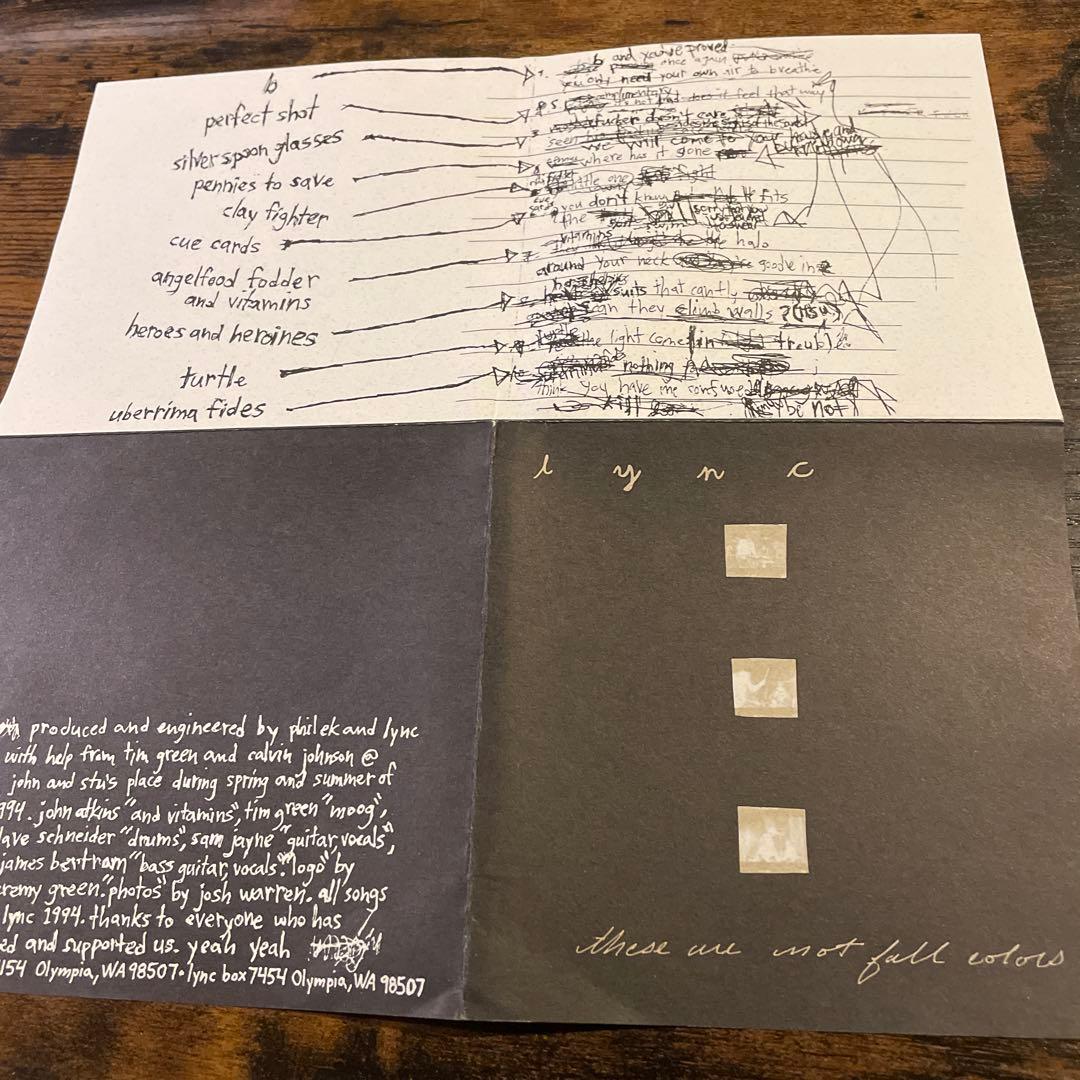 【廃盤】大名盤　Lync/these are Fall colors