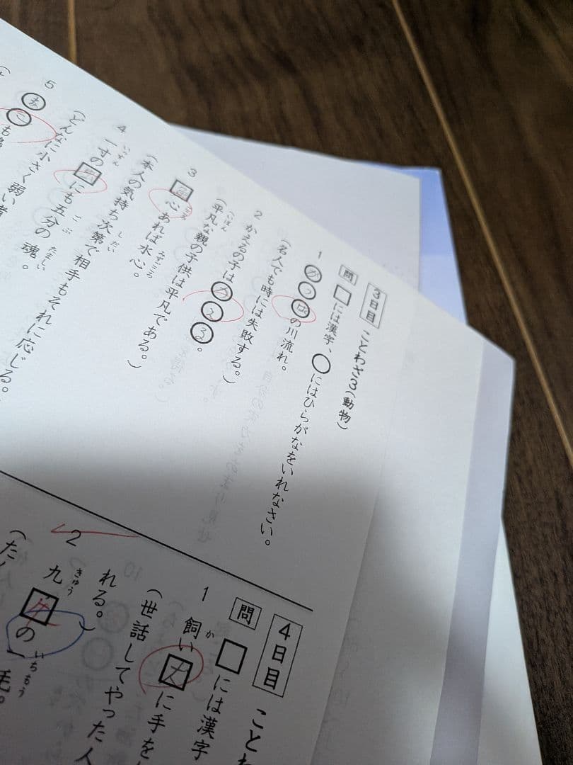 浜学園　小6　4教科　日曜志望校別特訓　春期講習・夏期講習