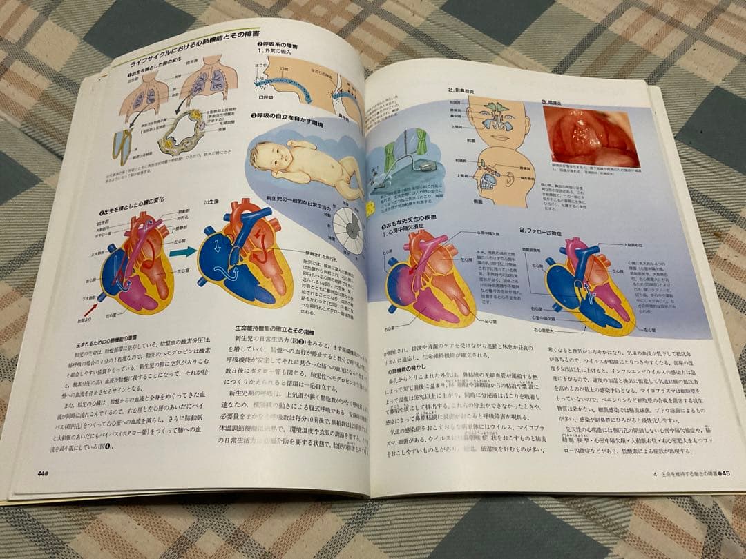 ナースが視る病気と、ナースが視る人体（医学書）講談社。【これから医師を目指す方】