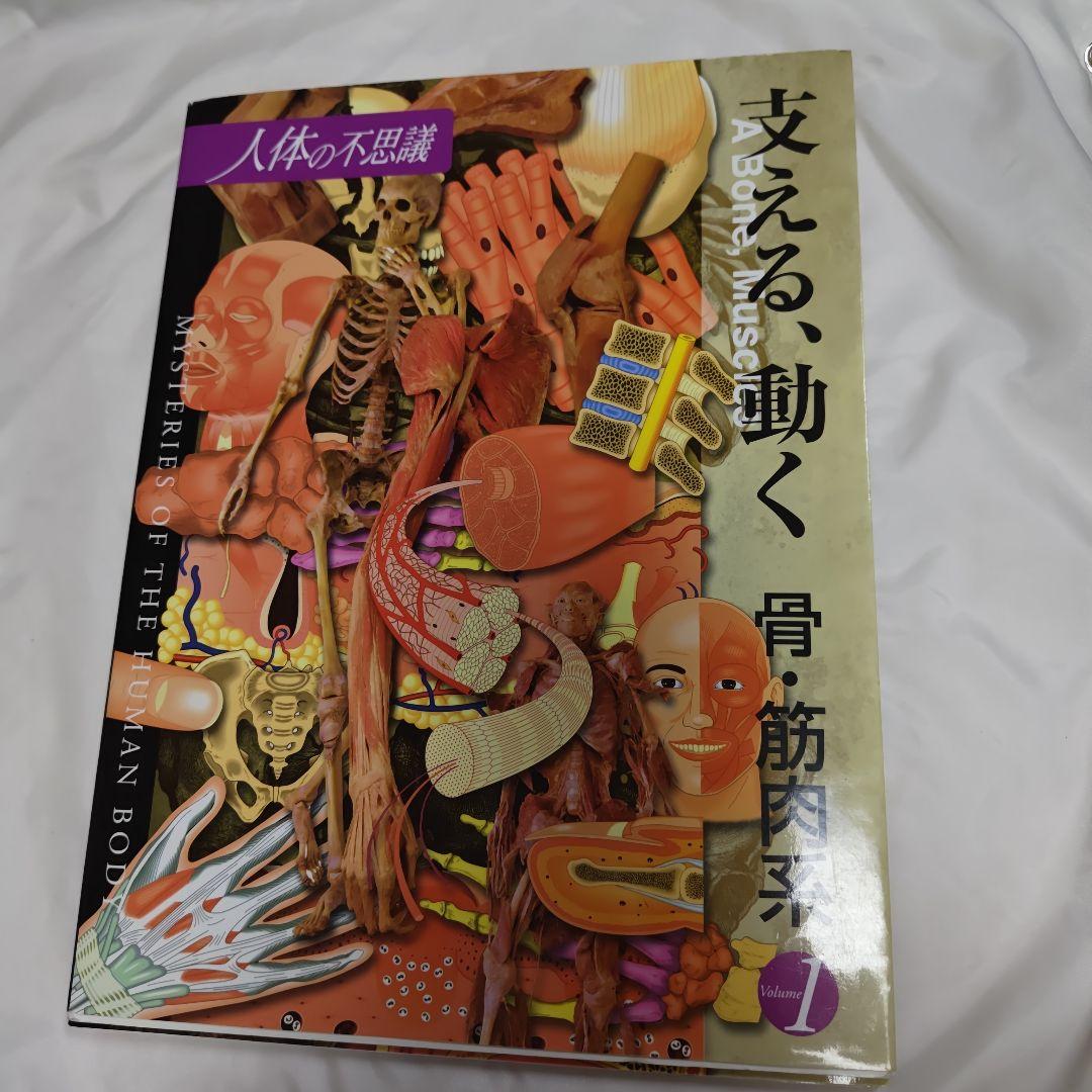 人体の不思議