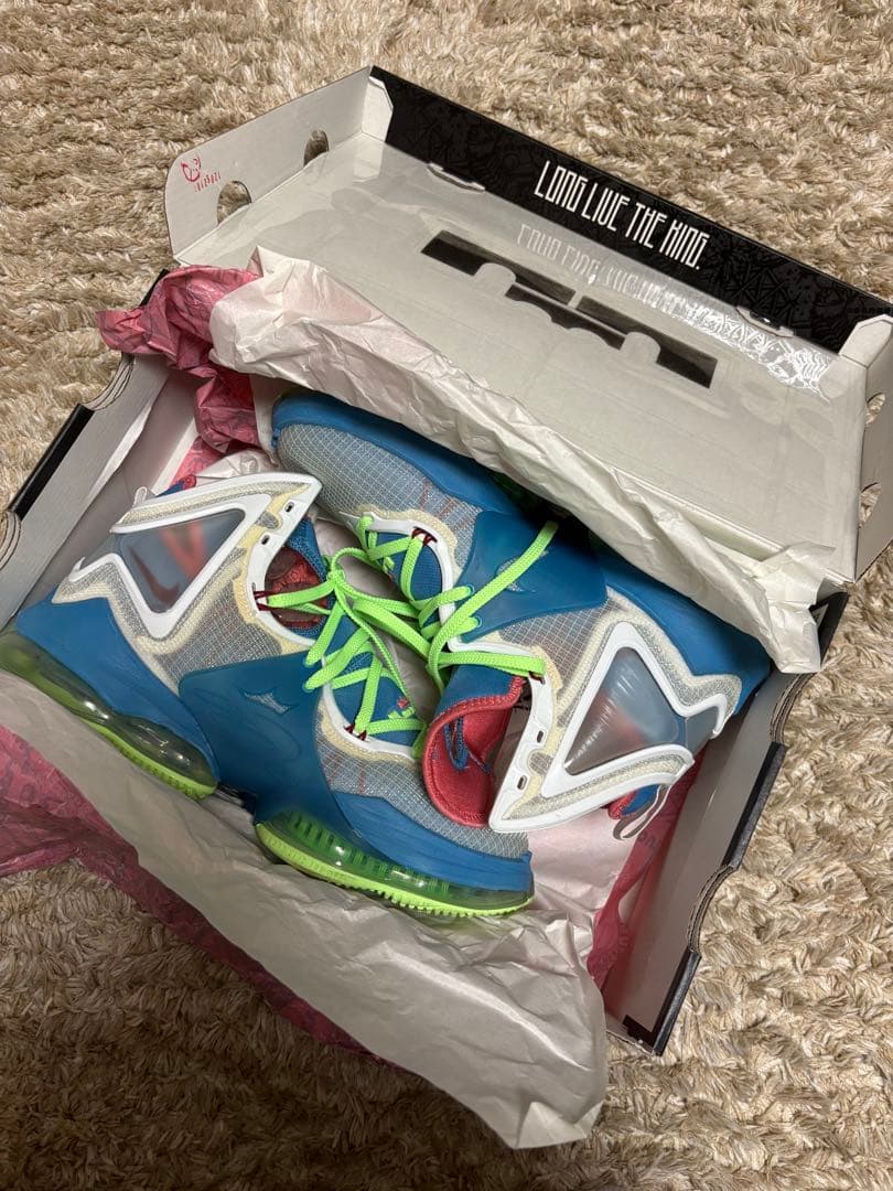 NIKE ナイキレブロン 19 NIKE LEBRON XIX 26.5cm