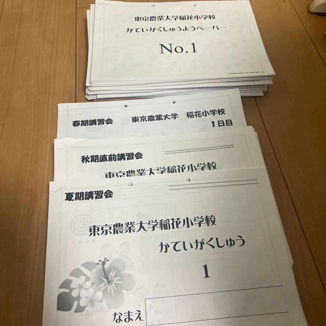 東京農業大学稲花小学校　ジャック　JAC ペーパー