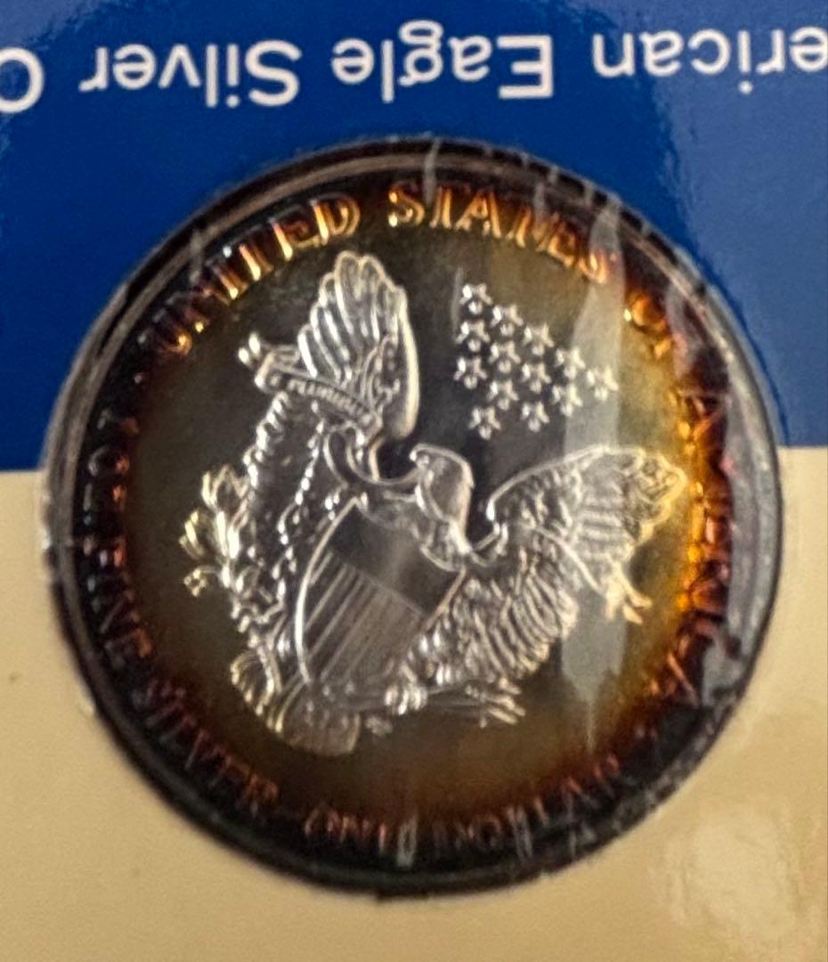 American Eagle Silver Coin 1987年