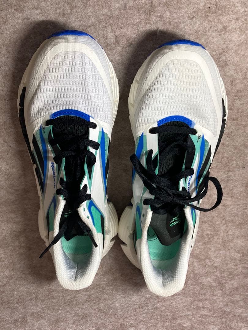 Reebok FLOATZIG 1 リーボック フロートジグ1 25cm ラン