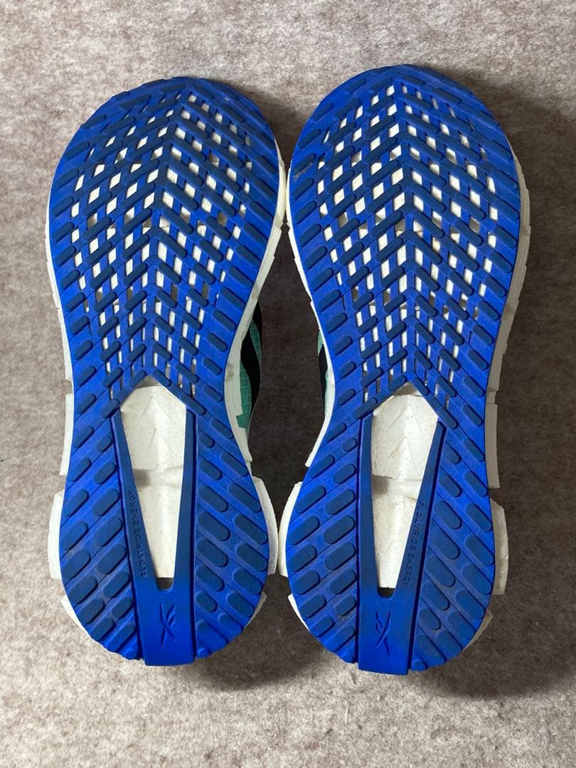 Reebok FLOATZIG 1 リーボック フロートジグ1 25cm ラン
