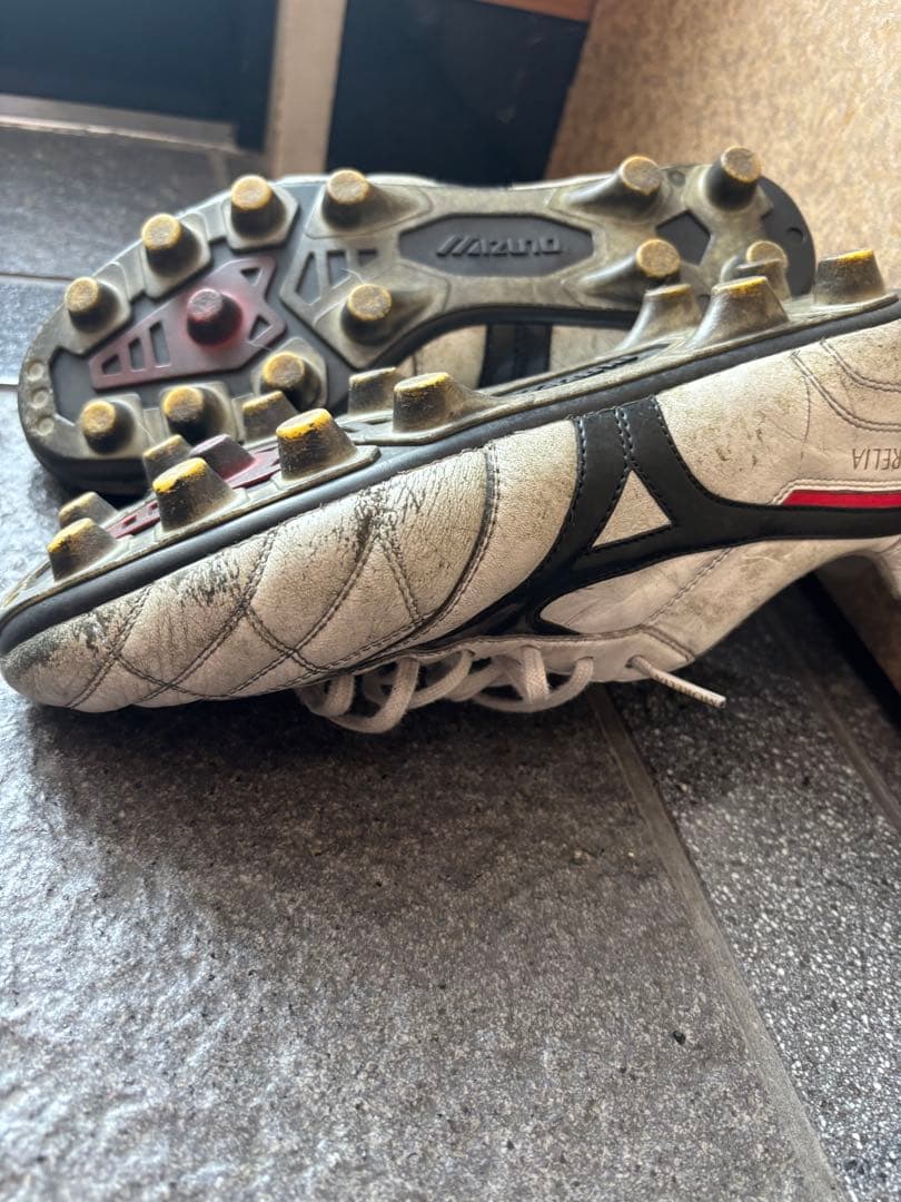 Mizuno MOLELIA Ⅱ Japan