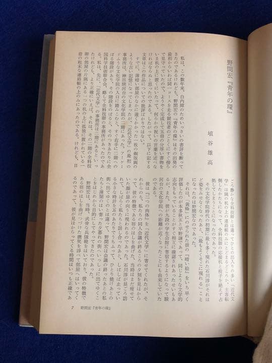 『青年の環』論集　埴谷雄高編　河出書房新社