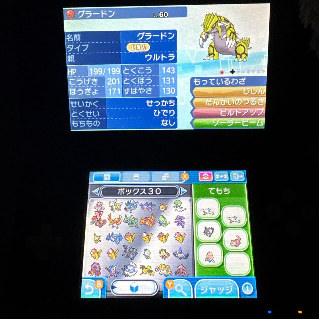 た*う様 【ケース付き】配布ポケモン多数所持　ポケットモンスター ムーン