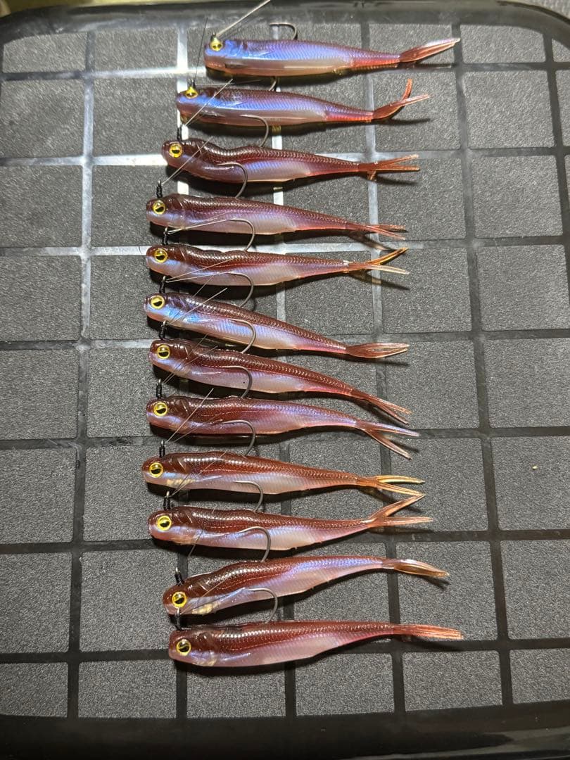 マッスルワイヤー レイドジャパン（具付き）