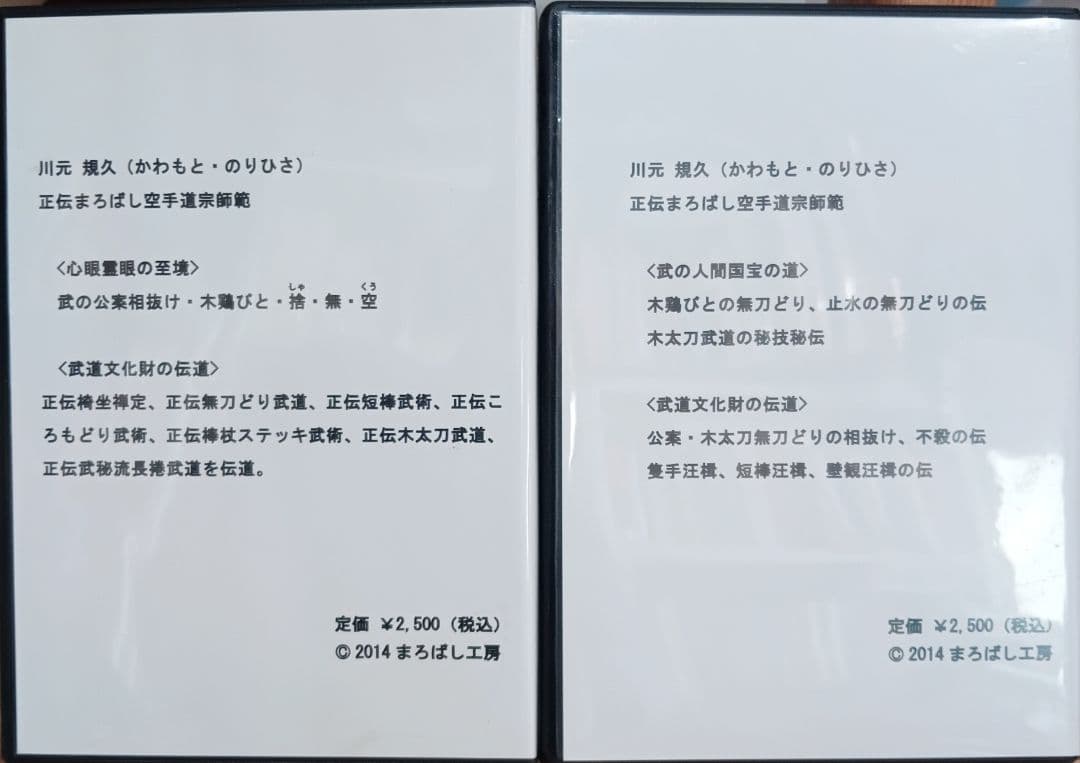 止水を極める　正統　DVD2組 川元親久　正統まろばし空手道