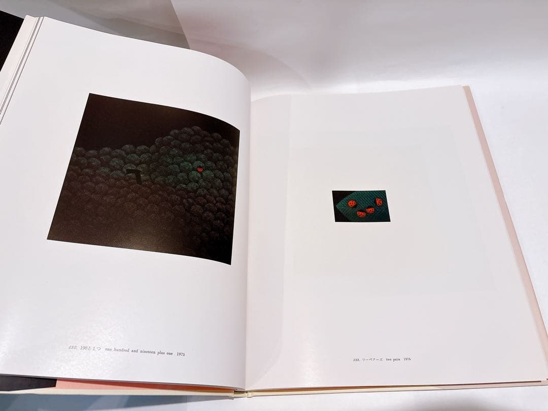 美品 HAMAGUCHI 浜口陽三全版画 アートブック M.Gallery