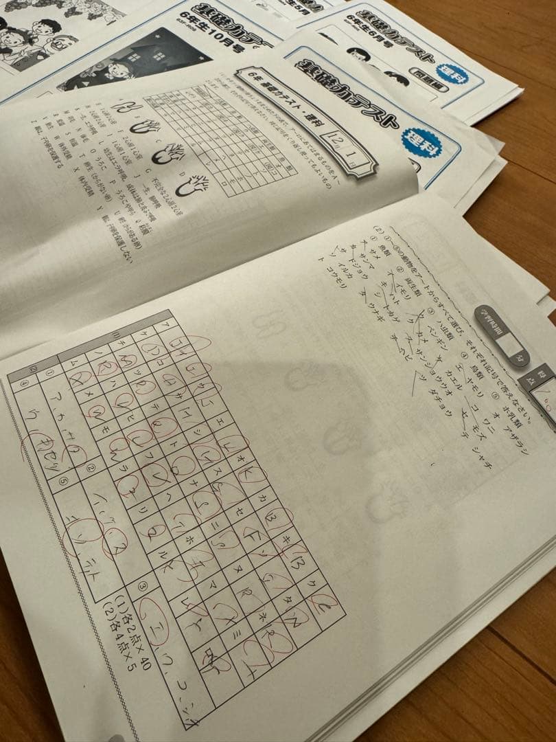 【全12冊セット】グノーブル6年理科基礎力テスト