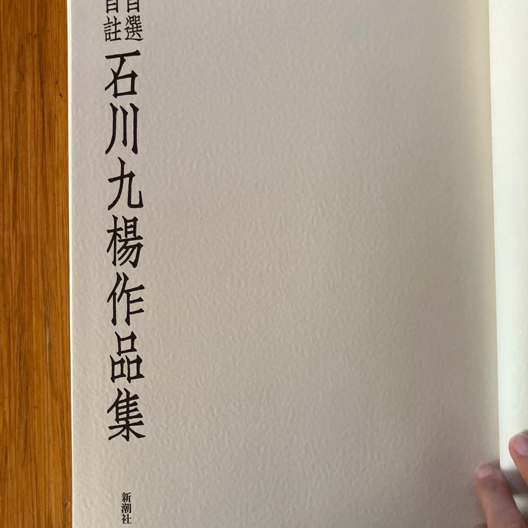 自選自註　石川九楊作品集