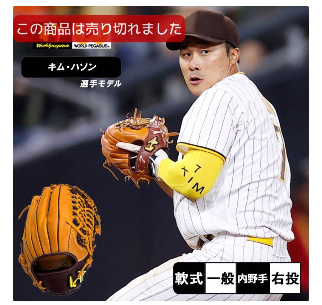 【美品】（希少です！）ワールドペガサス　軟式グローブ　キムハソンモデル
