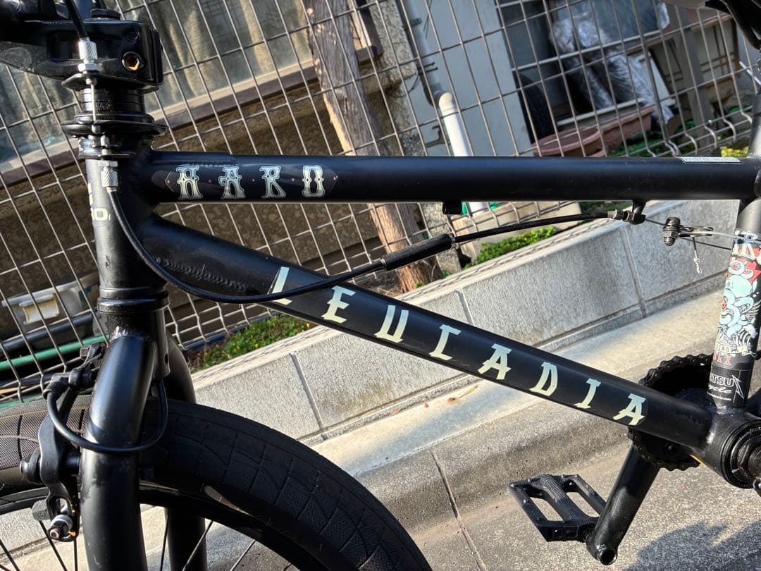 【直接引き取りのみ】LEUCADIA BMXバイク 20インチ ブラック