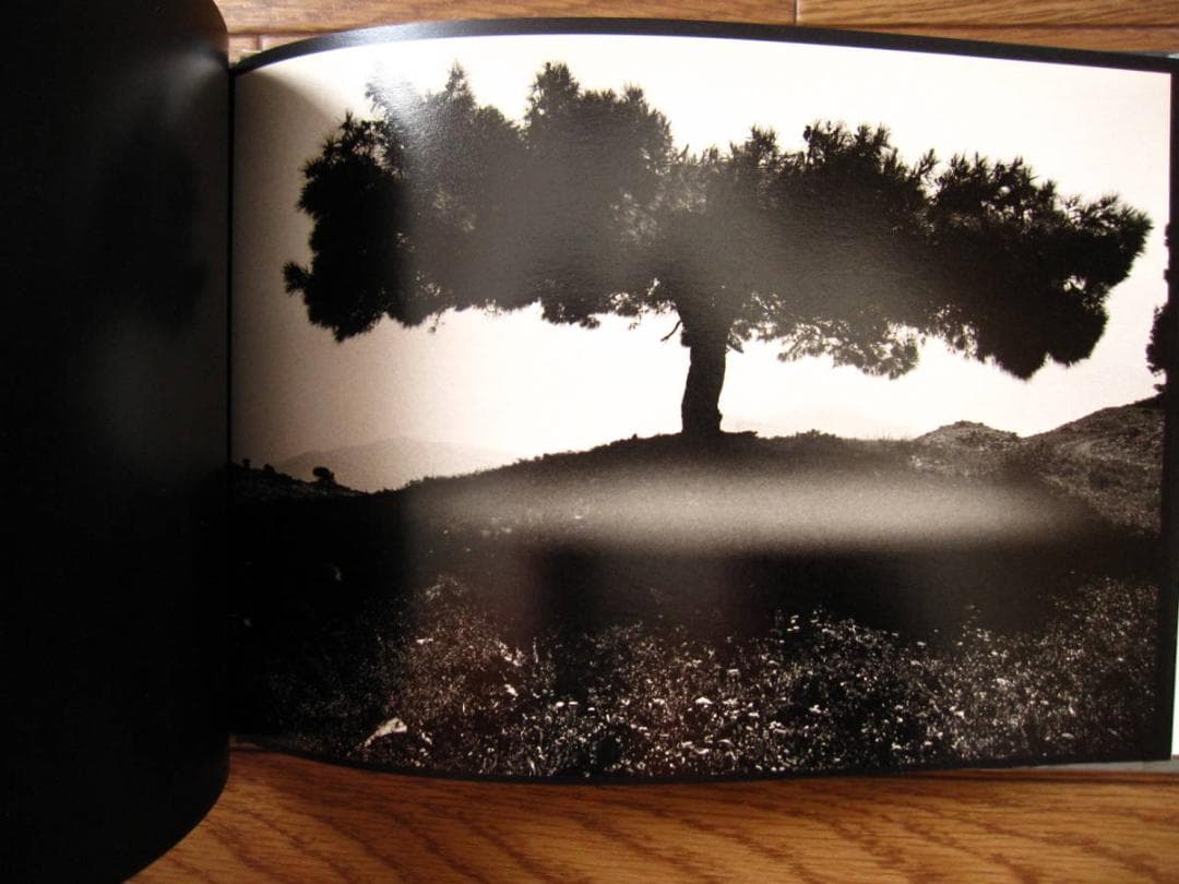 Leros / Alex Majoli　アレックス・マヨーリ