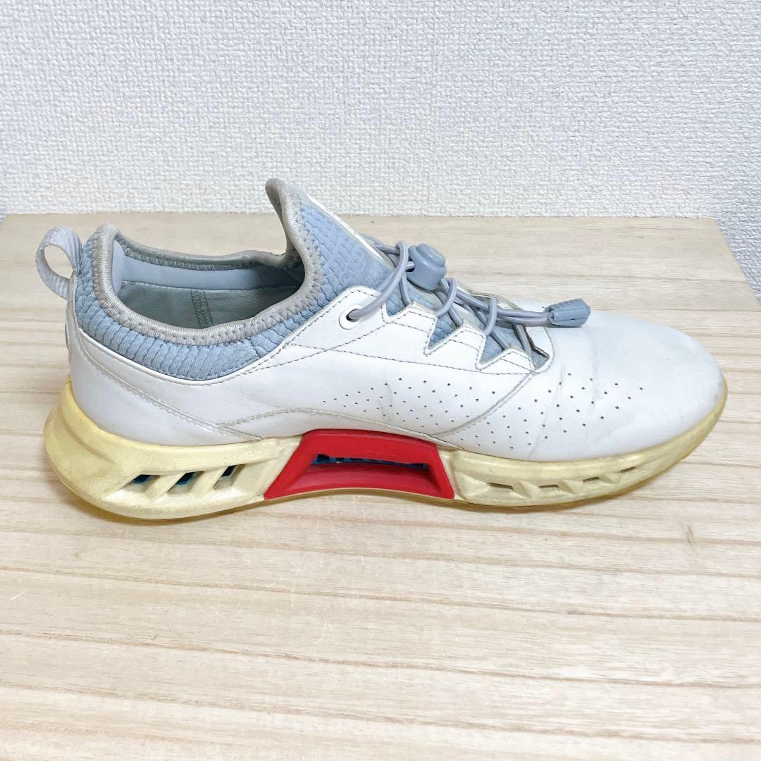 ECCO BIOM C4 ゴアテックス ゴルフシューズ ホワイト 26cm